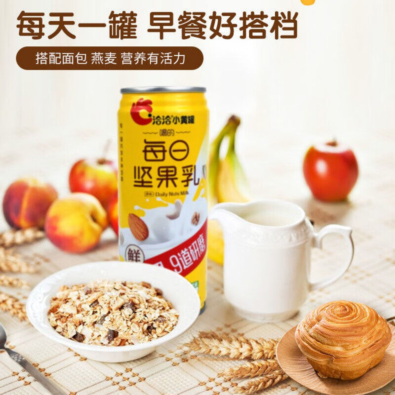 洽洽每日坚果乳礼盒装老人小孩植物蛋白饮料代餐食品营养早餐奶