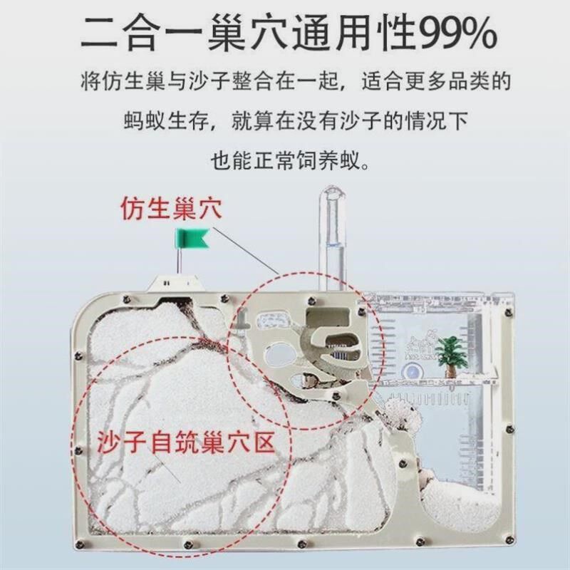 蚂蚁生态箱蚂蚁工坊巢穴t蚁巢蚂蚁窝屋蚂蚁大型巢蚂蚁城堡学生