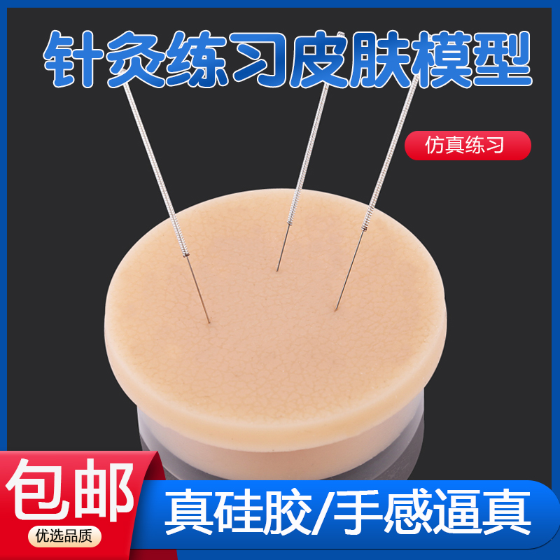针灸练习皮肤模型中医学生