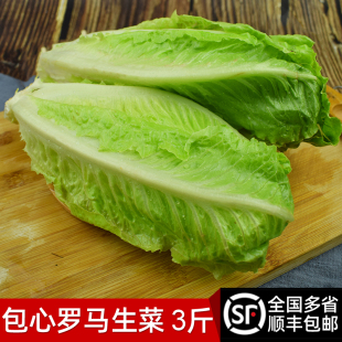 包邮 新鲜包心罗马生菜3斤 罗马罗纹生菜凯撒沙拉蔬菜西餐沙拉食材