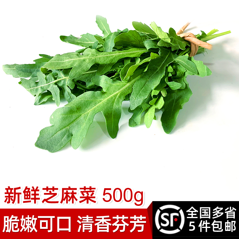 新鲜食者500g沙拉德国芝麻菜