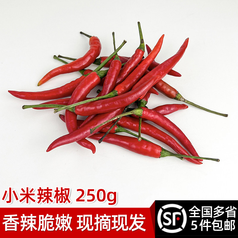 新鲜小米辣椒250g 朝天椒特辣小米椒红辣椒尖椒 农家自种新鲜蔬菜