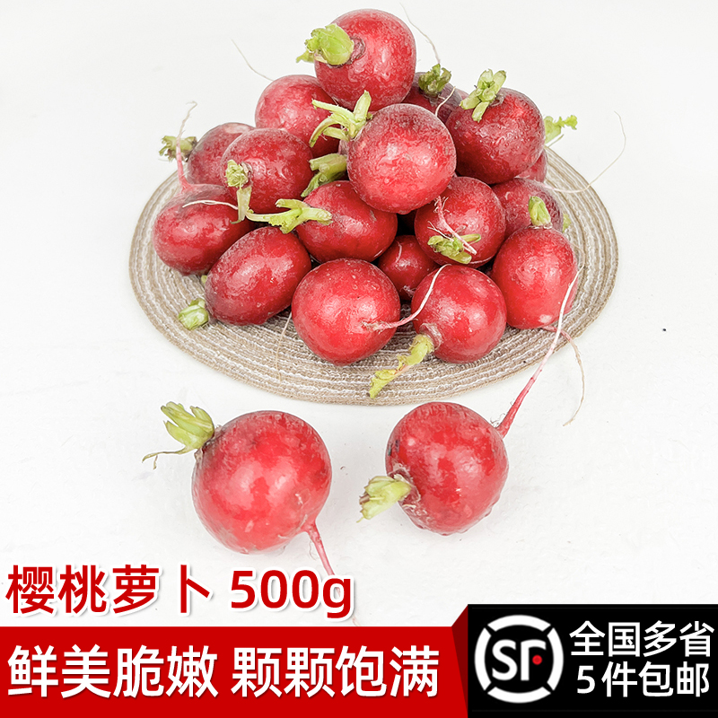 绿食者迷你水果蔬菜沙拉樱桃萝卜
