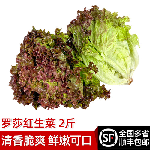 多省顺丰包邮