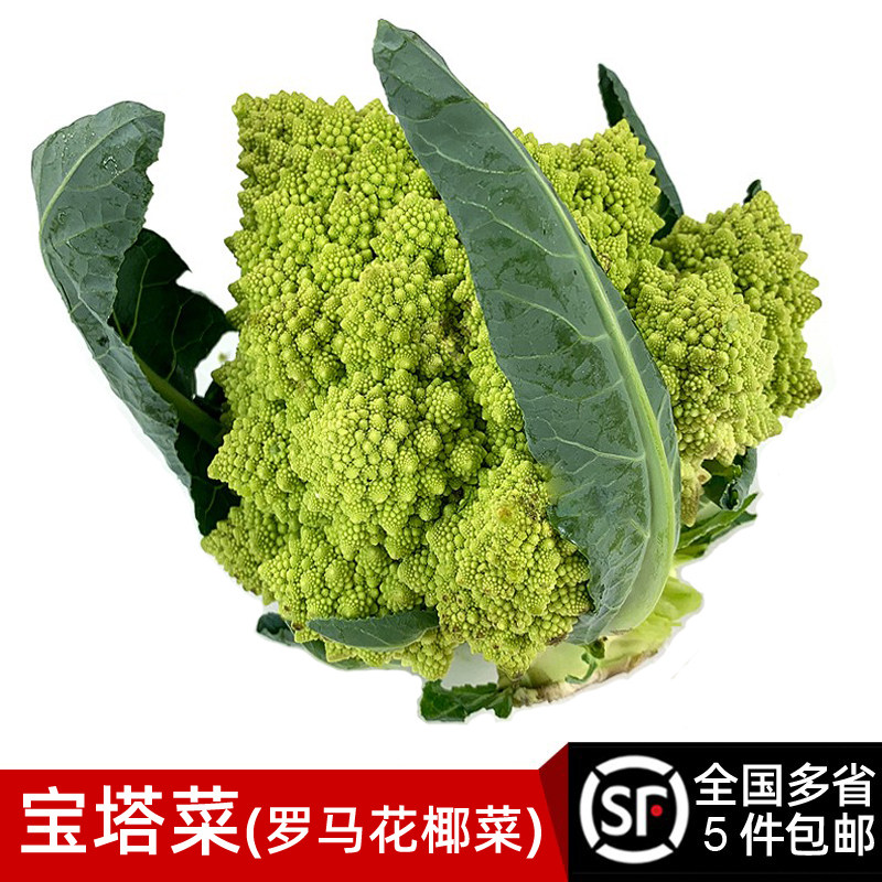 新鲜宝塔菜约750g 带叶罗马花椰菜 新鲜蔬菜 西餐酒店食材配菜