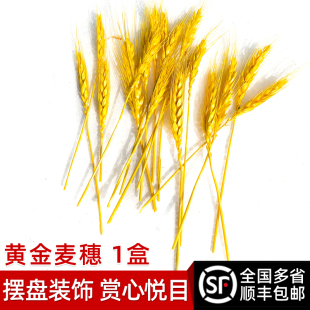 盒 包邮 丰收稻穗田园摆盘装 顺丰 饰礼品拍摄麦穗材料 黄金麦穗5g