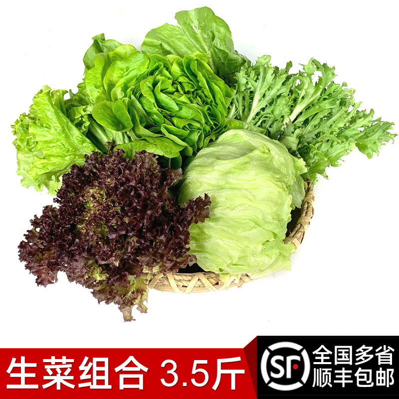 新鲜生菜组合6种3.5斤蔬菜罗莎绿