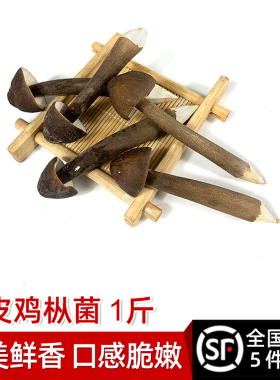 新鲜黑皮鸡枞菌500g 菌菇长根蘑菇荔枝菌鸡棕菇 煲汤食材