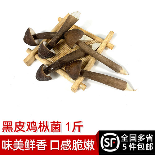 新鲜黑皮鸡枞菌500g长根荔枝菌棕