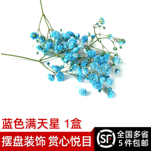 包邮 新鲜蓝色满天星1盒 多省5件 饰花草西餐日料冷菜摆盘 餐饮装