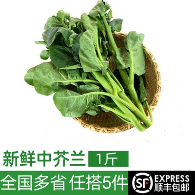 新鲜芥兰500g 中花芥蓝 芥兰 新鲜时鲜蔬菜 满5件包邮
