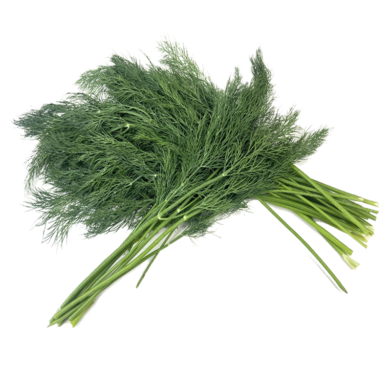 新鲜莳萝草250g 食用泰国香其它