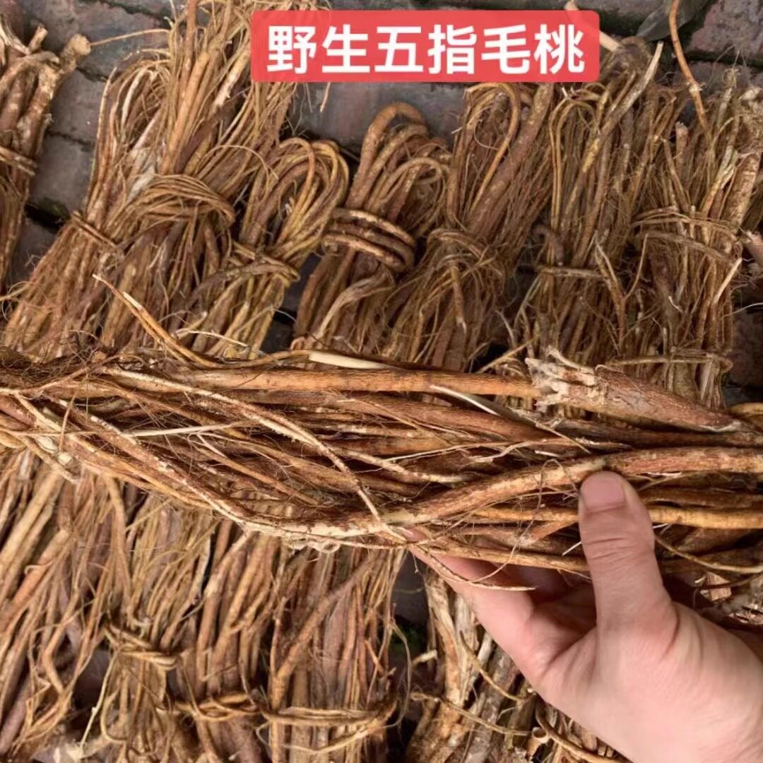 广西瑶山农家野生无硫五指毛桃土茯苓汤料 五爪龙煲汤料500g包邮