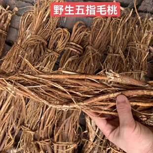 广西瑶山农家野生无硫五指毛桃土茯苓汤料 五爪龙煲汤料500g包邮