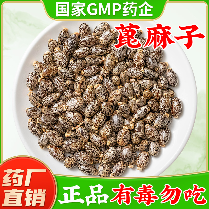 蓖麻子中药材500克野生新鲜