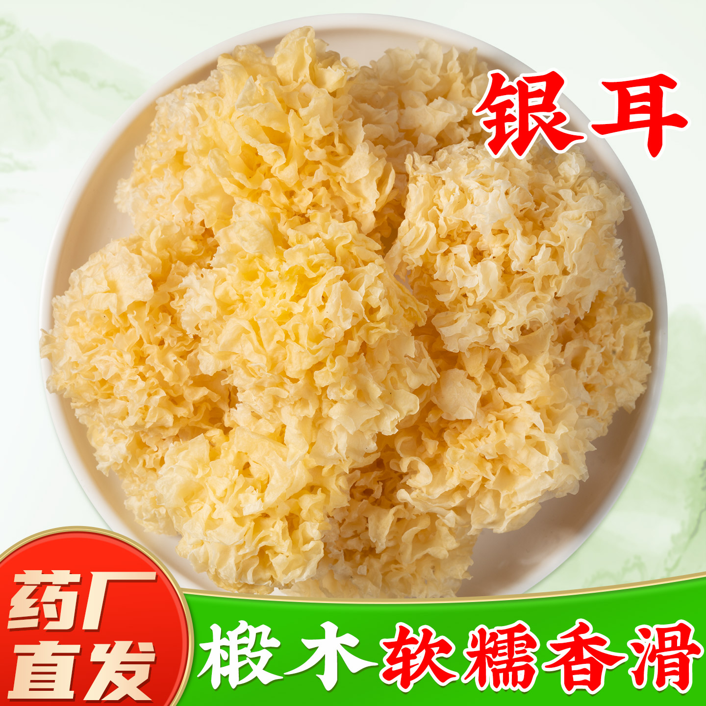 古田特产 椴木小银耳新鲜干货椴木白木耳雪耳糯耳羹无熏硫丑耳