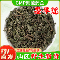 【野生墨旱蓮旱蓮草】藥廠直銷