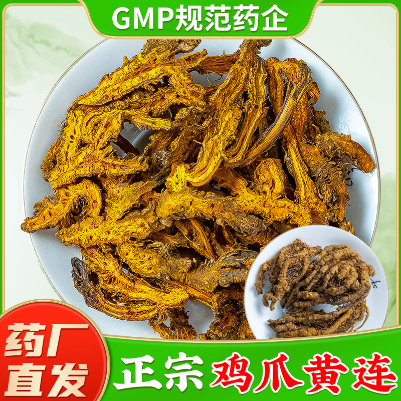 正宗鸡爪黄连GMP规范药厂直销