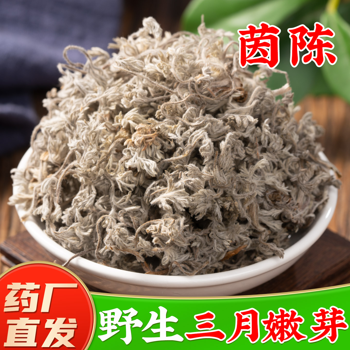 三月野生茵陈中药材旗舰店正品 白蒿 茵陈蒿干货新鲜绵茵陈