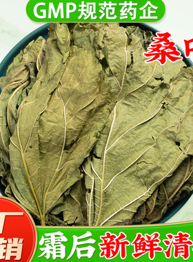 野生桑叶中药材官方旗舰店正品 霜桑叶新鲜桑叶干中草药材
