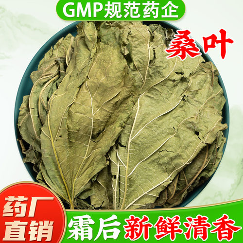 【野生霜桑叶中药材】药厂直销