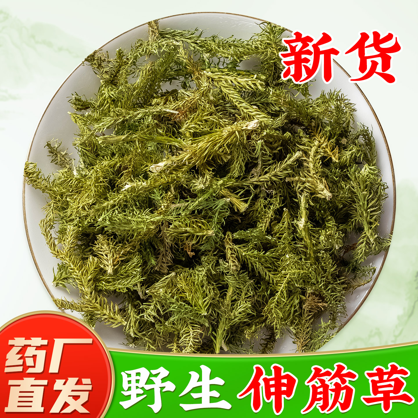 【野生伸筋草中药材】药厂直销图片