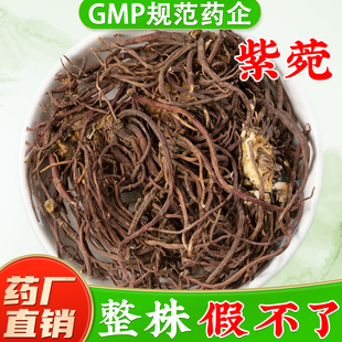 紫苑中药材官方旗舰店正品 整株假不了 紫菀返魂草紫莞地道紫宛