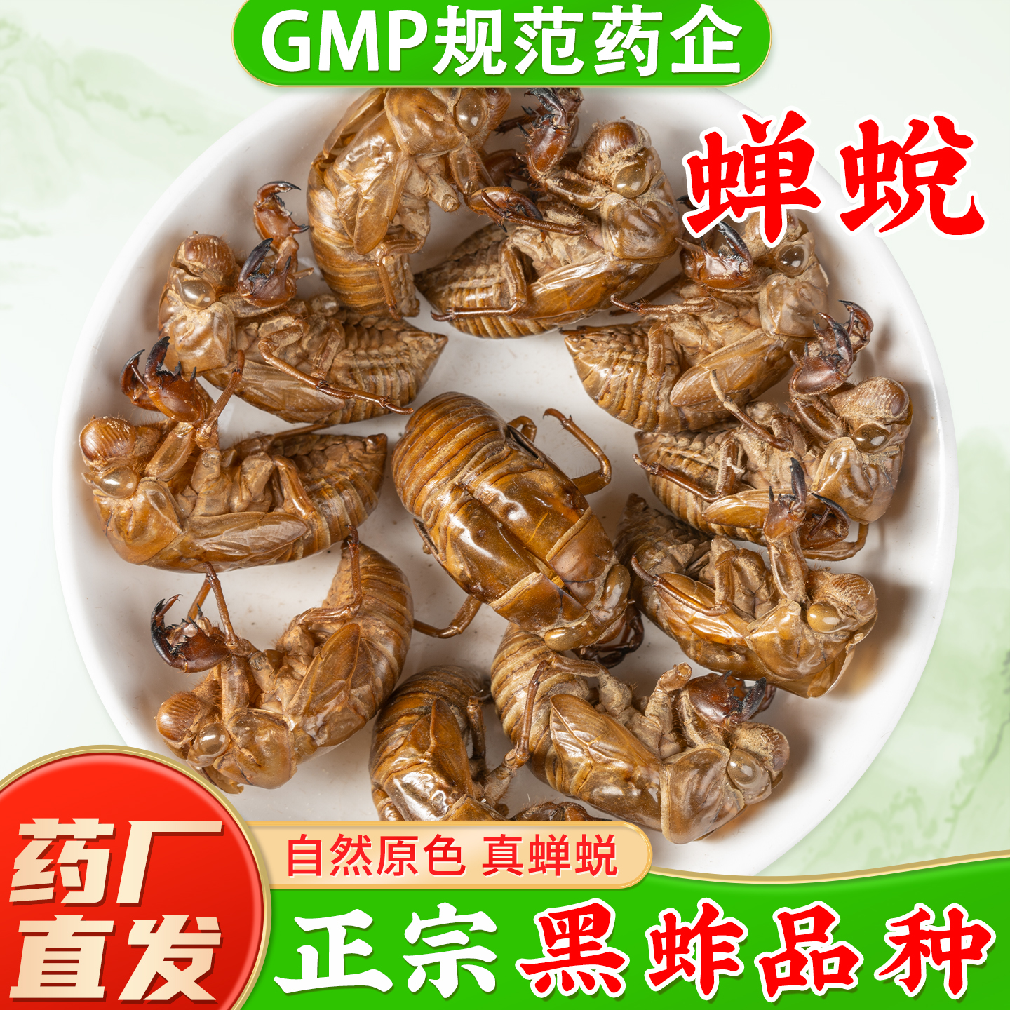 野生蝉蜕中药材官方旗舰店正品 知了壳知了猴壳蝉衣中药材蝉蜕粉