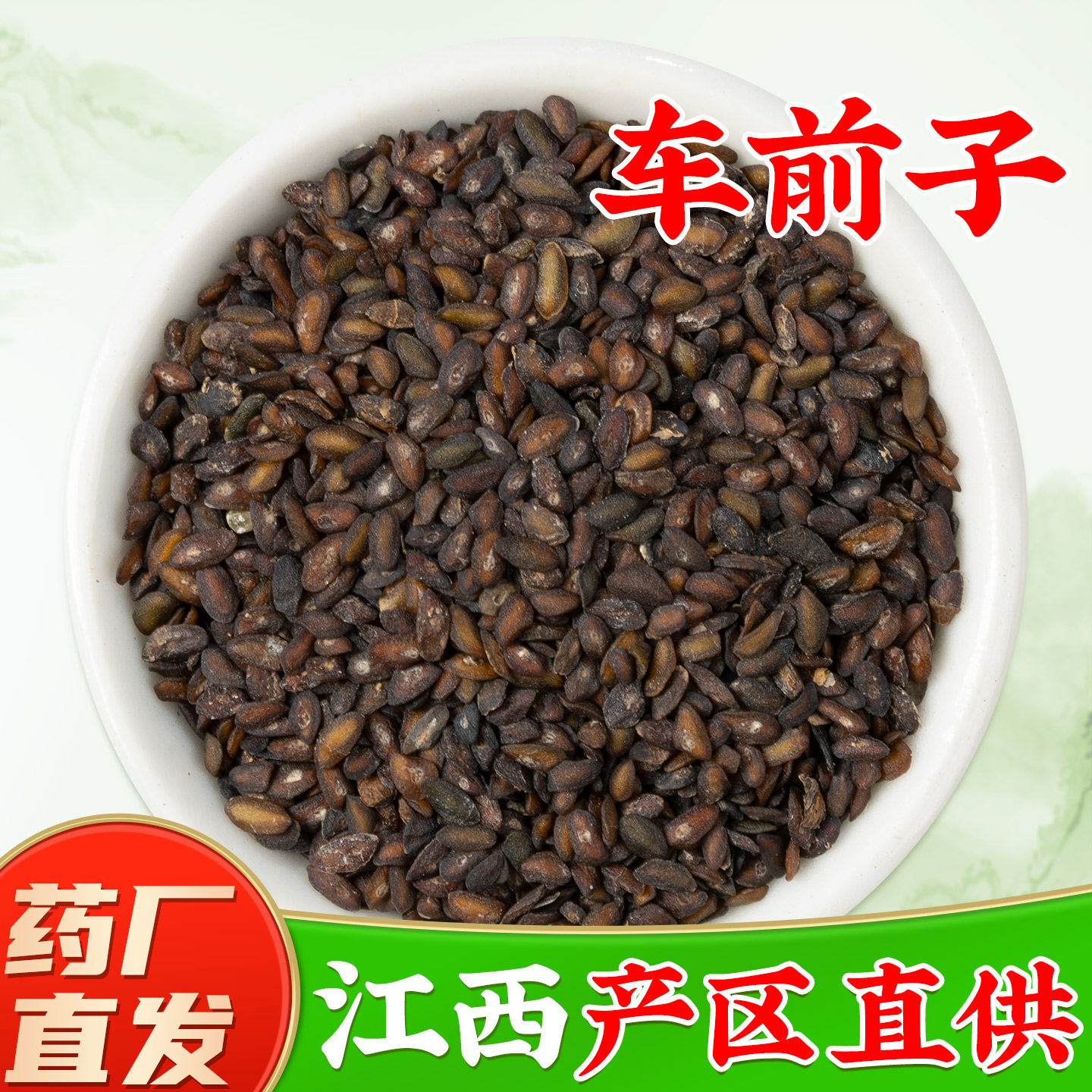 【野生车前子中药材】药厂直销图片