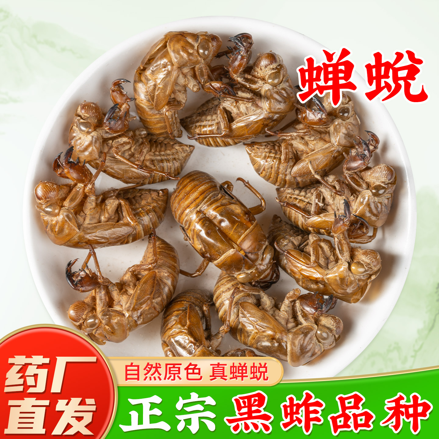 野生蝉蜕中药材官方旗舰店正品 知了壳知了猴壳蝉衣中药材蝉蜕粉