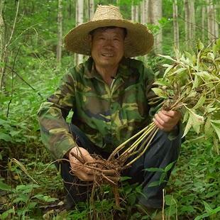 白芍片中药材正品500g克包邮可搭白术茯苓甘草当归川芎熟地特级