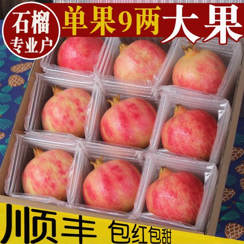 现摘现发突尼斯软籽石榴礼盒