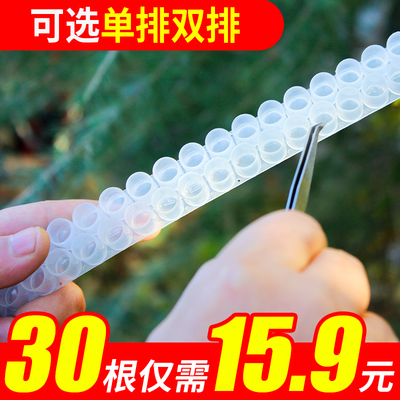 塑料王浆条单排双排蜂王台育王台基意蜂产王浆专用蜜蜂养蜂工具