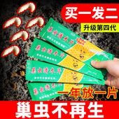 买1送1 巢虫清木片中蜂专用蜜蜂治棉虫青木片槽虫灵潮虫净养蜂