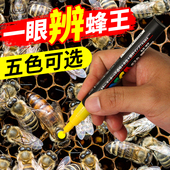 蜂王记号笔速干涂色育王标记笔蜜蜂专用防水不易伤蜂 养蜂工具 包邮