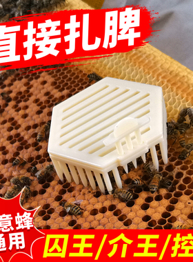 塑料双层针式囚王笼蜜蜂中意蜂专用多功能峰王防逃介王控王器储王
