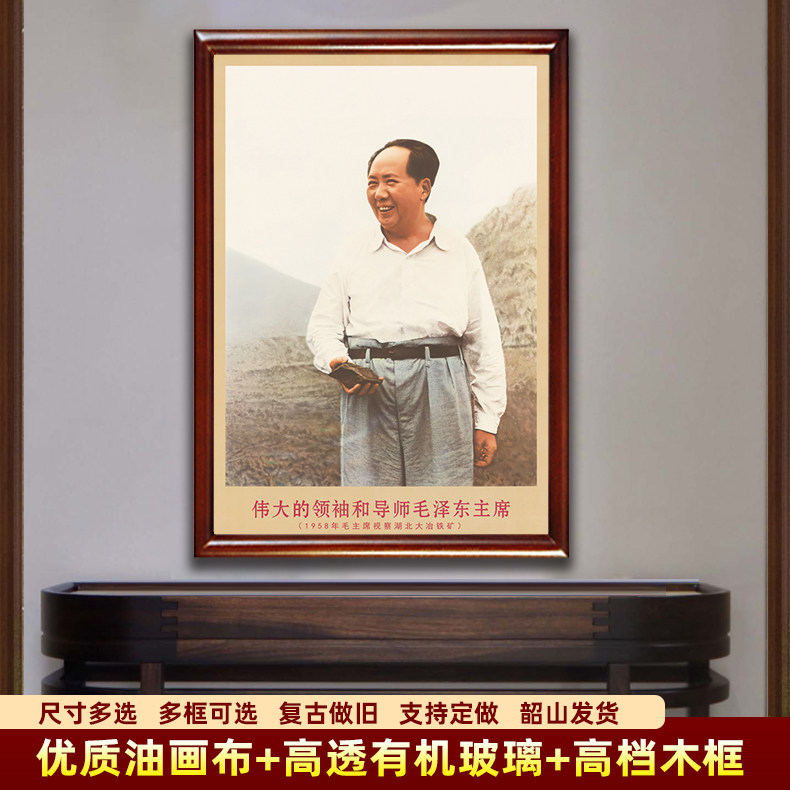 毛主席墙画有框毛爷爷视察湖北