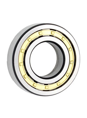 进口轴承NJ 310 311 312 313 314 315 316 317 318ECP ECM C3