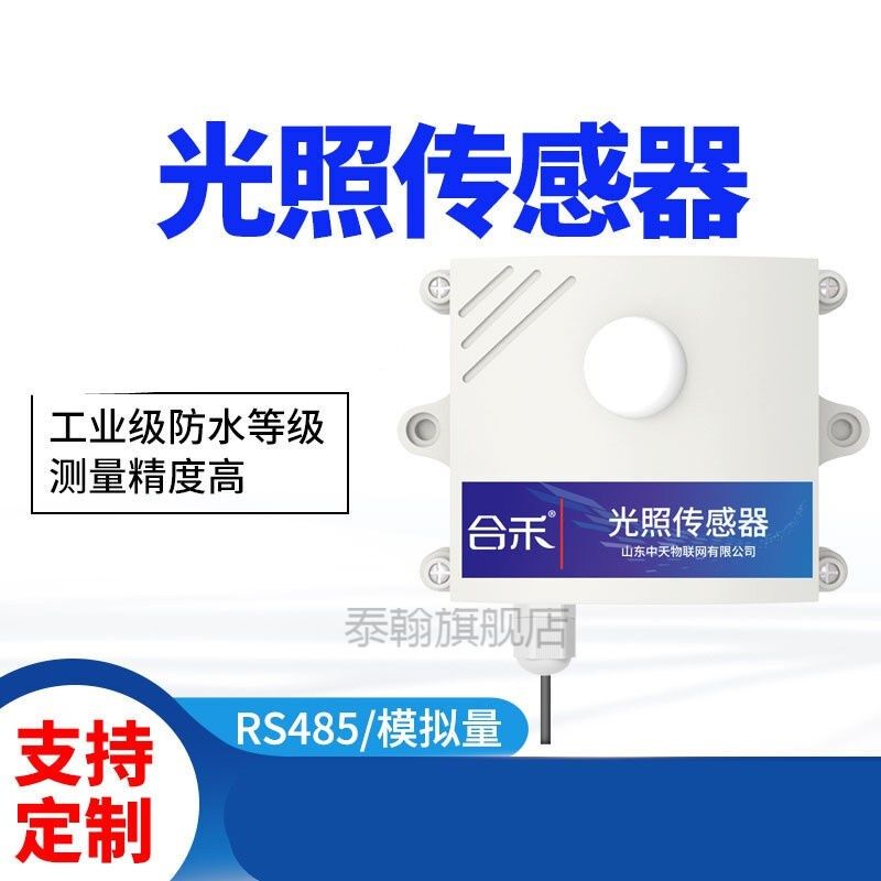 光照度测试仪光照度计光照仪照度仪光照传感器RS485照度计测量太,童装/婴儿装/亲子装,儿童装饰手表,淘宝优惠券,粉丝福利购,淘宝优惠卷