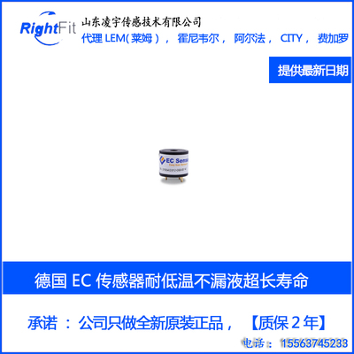 ES4-H2-1000PPM/20000PPM德国氢气传感器ES1-H2-1000PPM/气体模拟