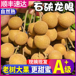 顺丰A+级广东石硖龙眼新鲜8斤老树大果当季水果现摘现发整箱包邮