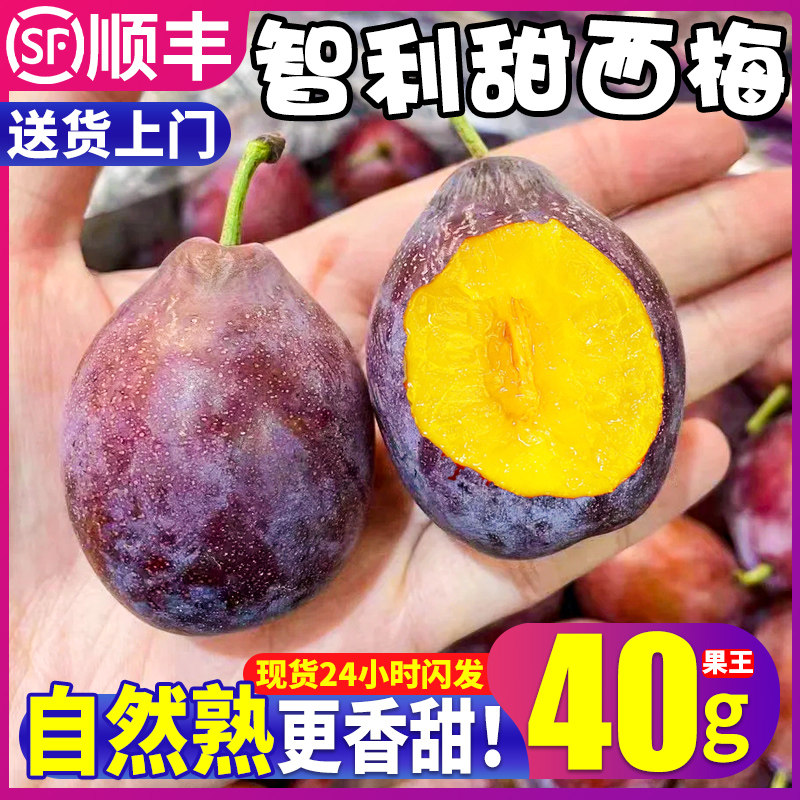 顺丰智利进口西梅鲜果新鲜水果李子3斤大甜当季兰西整箱包邮正品