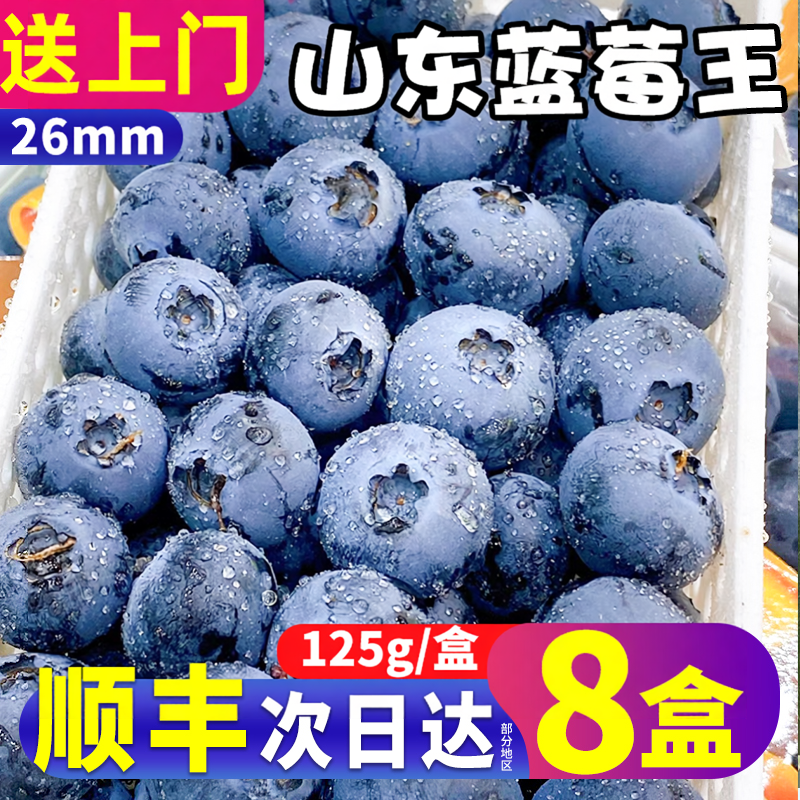 顺丰 山东蓝莓鲜果特大新鲜花香云怡颗佳当季水果125g/盒整箱包邮
