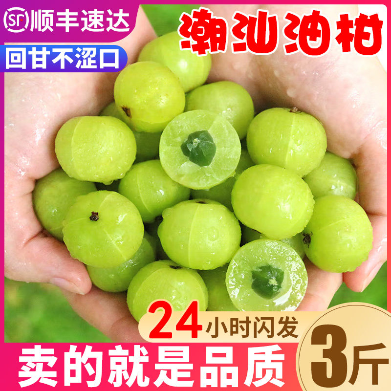 油柑新鲜2斤现摘罕见水果油甘果孕妇水果余甘果野果当季整箱包邮5|msdalam kategori daging perikanan/Buah-buahan segar dan sayur-sayuran/dimasak, buah-buahan segar, lain - dari Buy2taobao.com untuk memberikan perkhidmatan ejen Taobao profesional membeli