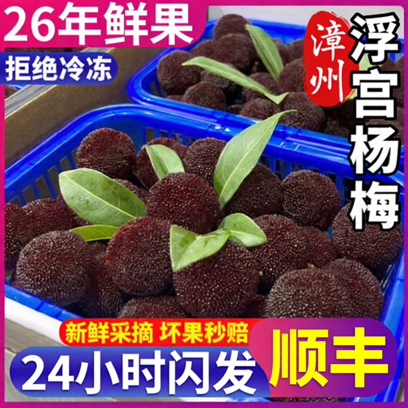 顺丰 现货福建浮宫杨梅鲜果新鲜现摘5斤当季水果魁东居仙整箱包邮
