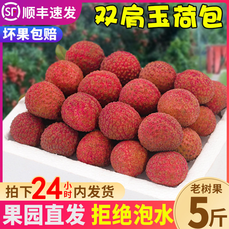 顺丰次日达双肩玉荷包荔枝礼盒装