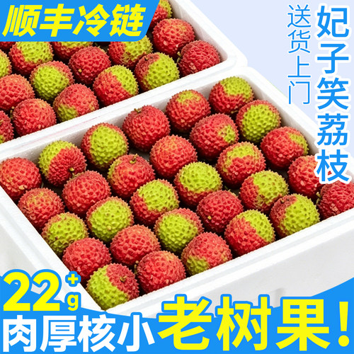 顺丰6斤妃子笑荔枝！老树果TOP丨
