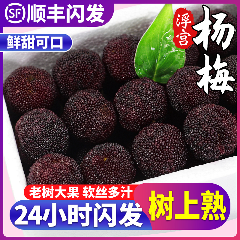 顺丰正宗浮宫杨梅鲜果6斤新鲜现摘福建漳州当季水果整箱现货包邮
