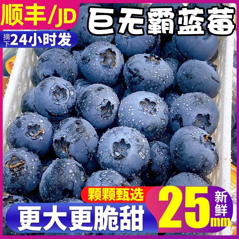 顺丰JD云南蓝莓鲜果巨无霸新鲜当季水果孕妇宝宝12盒浆果整箱包邮,水产肉类/新鲜蔬果/熟食,蓝莓,淘宝优惠券,粉丝福利购,淘宝优惠卷