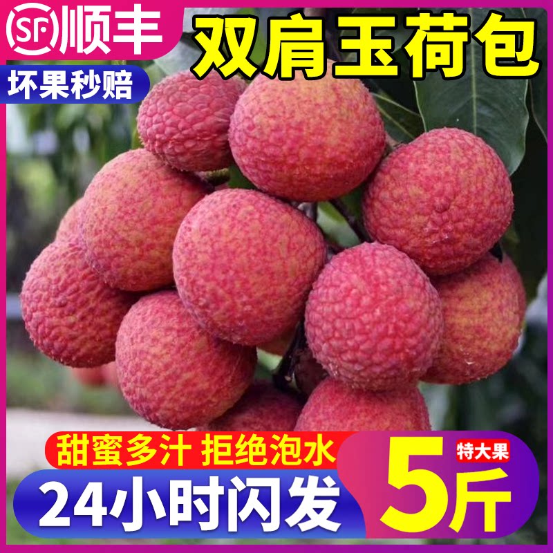 顺丰荔枝礼盒装双肩玉荷包荔枝